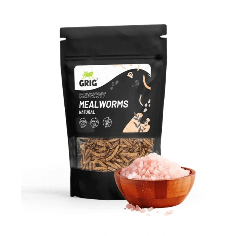 Grig Crunchy Mealworms